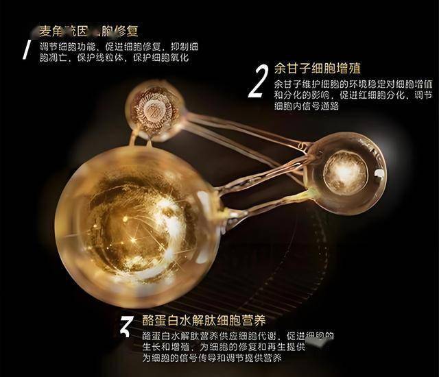 宁化：回忆烽火岁月 传承红色基因